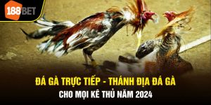 Đá gà trực tiếp